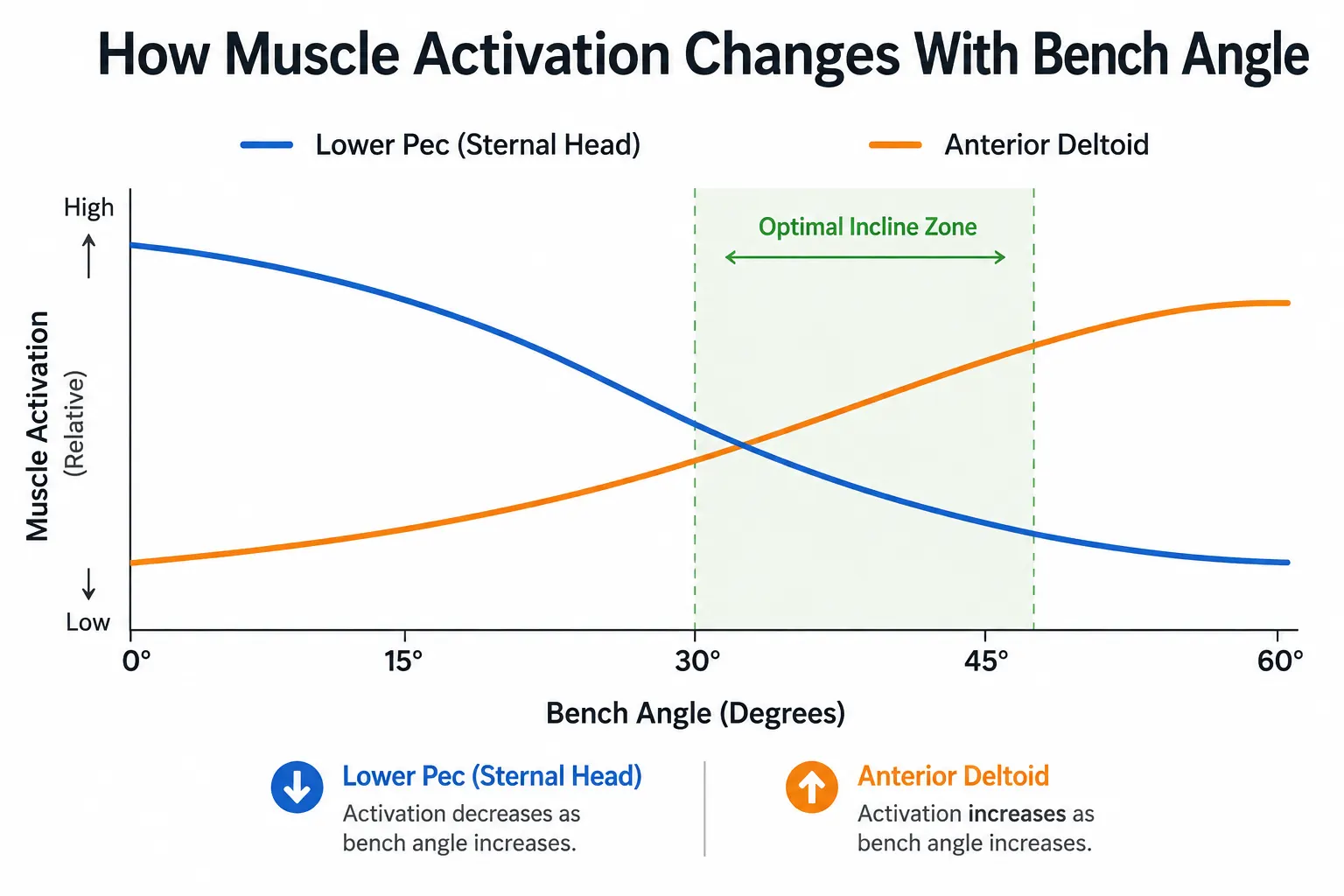 Chart showing how muscle activation shifts from lower pec to anterior deltoid as bench press angle increases from 0 to 60 degrees