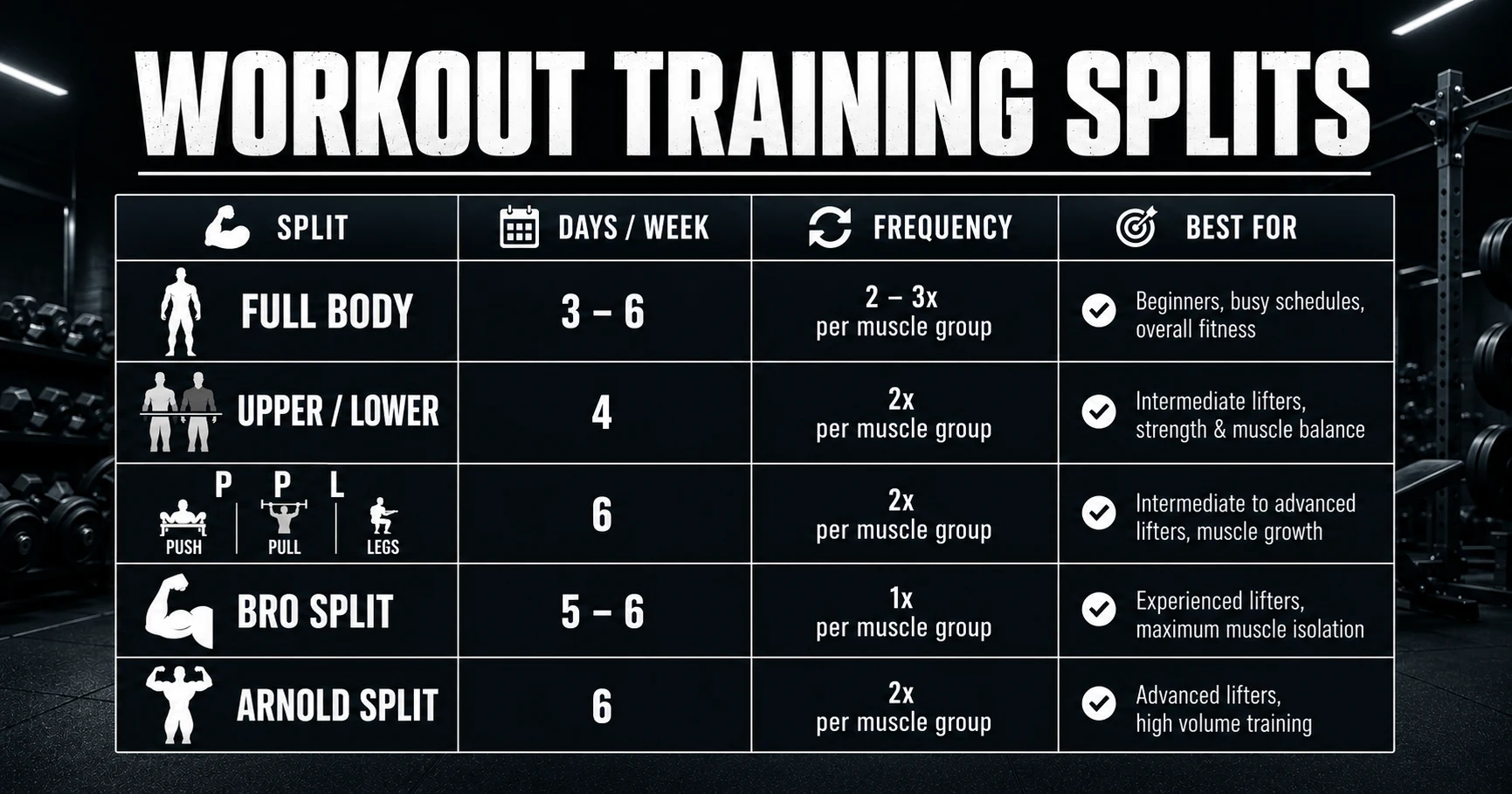 Workout training splits comparison guide — full body, upper lower, PPL, bro split