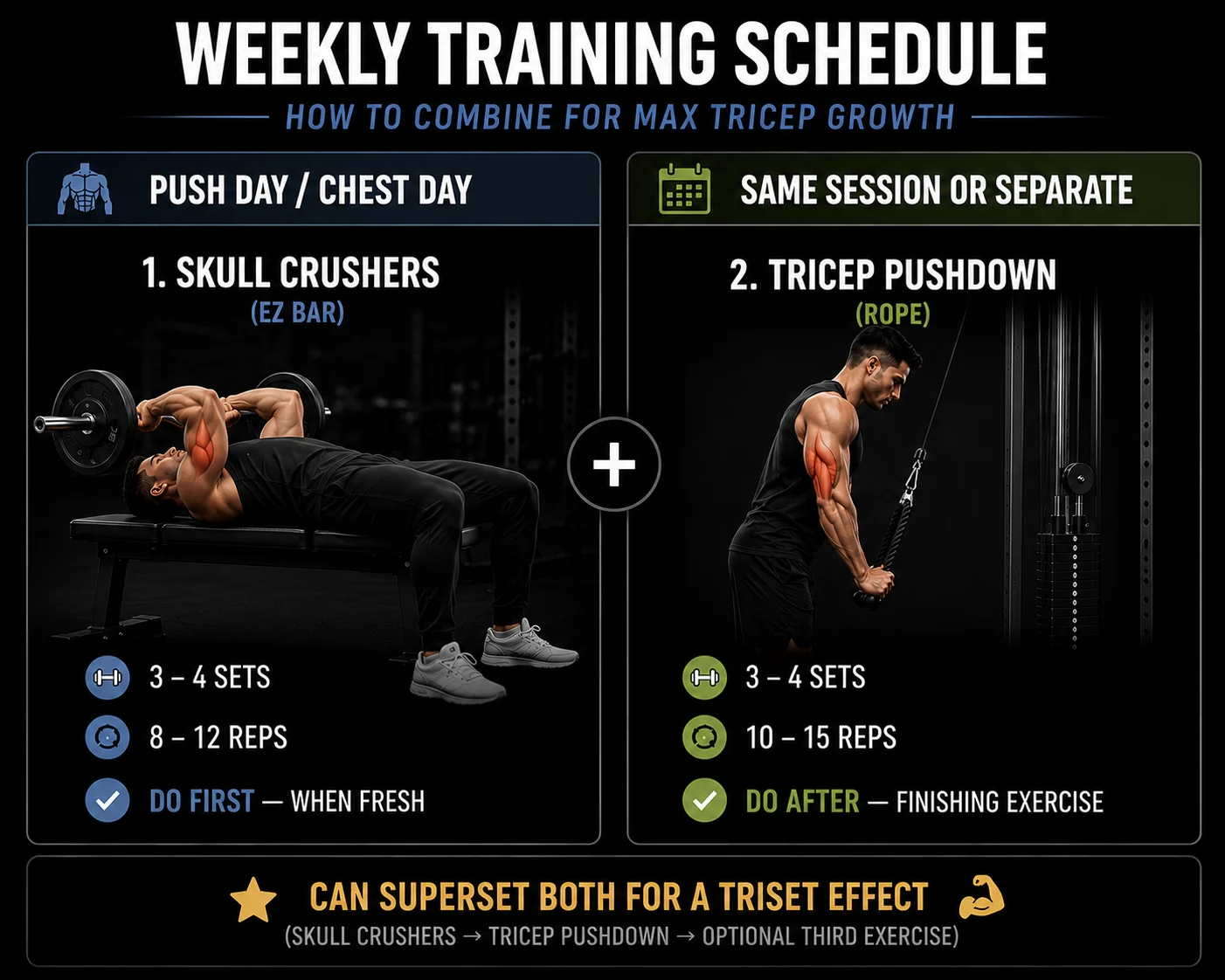 Weekly triceps training programming example combining skull crushers and tricep pushdown for maximum growth