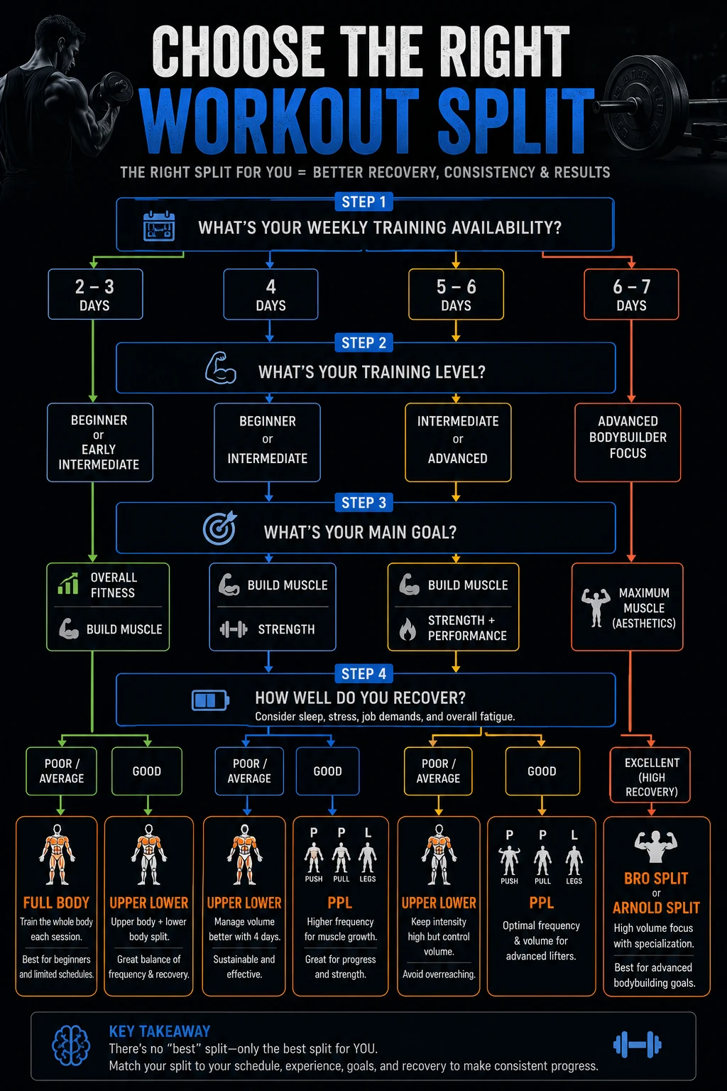 Workout split decision tree based on weekly schedule, training level, goal, and recovery capacity.
